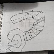 PXL_20240224_054933720