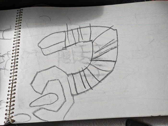 PXL_20240224_054933720