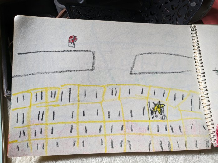 PXL_20240224_055033950