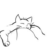 20080320_04oppianuko