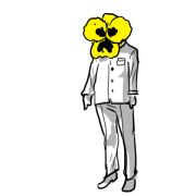 2016_0629_02_pansyman