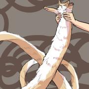 2017_0623_22_30_longestcat