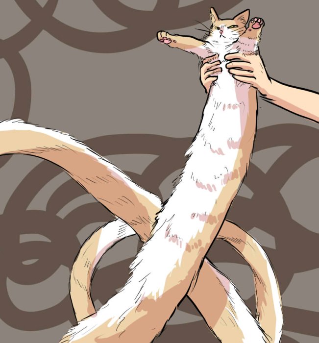 2017_0623_22_30_longestcat