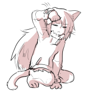 2017_0811_06_59_kaoarai