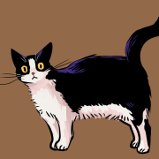 2018_0601_05_35_sushi