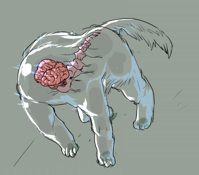 2020_0107_01_22_toumei