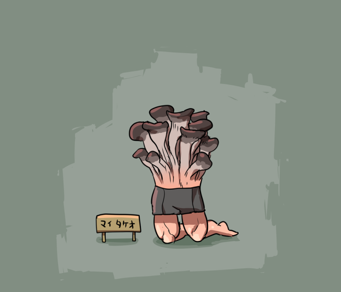 2020_0121_07_13_maitakeo