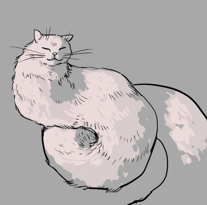 2020_0902_10_05_54_revia