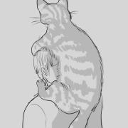 2021_0615_00_10_40_neko