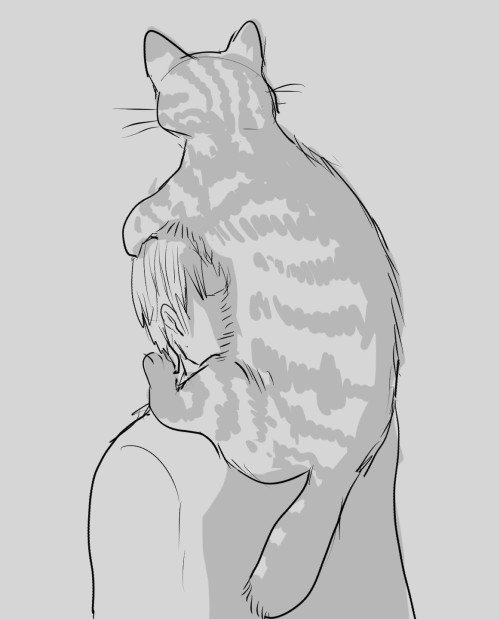 2021_0615_00_10_40_neko