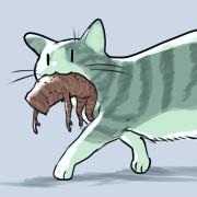 2022_0821_06_02_57_mugi