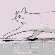 2023_1020_06_07_08_neko