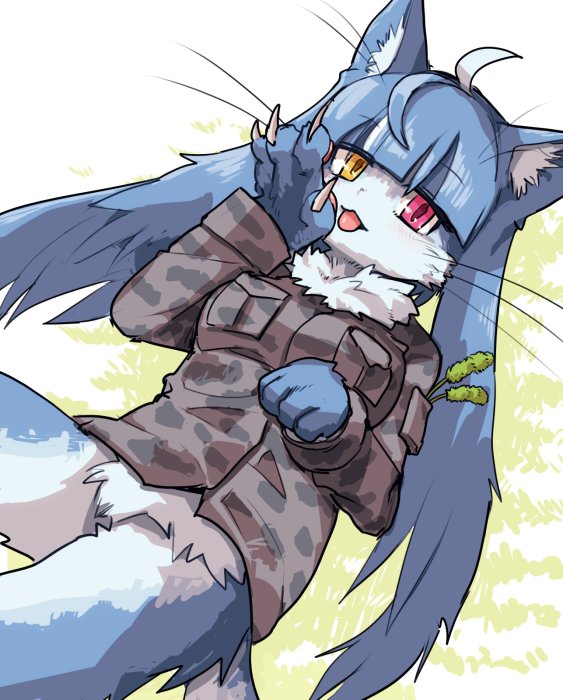 2024_0405_02_53_omanekokun