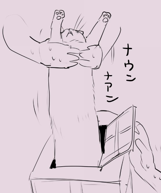 2024_0729_18_46_nekocage